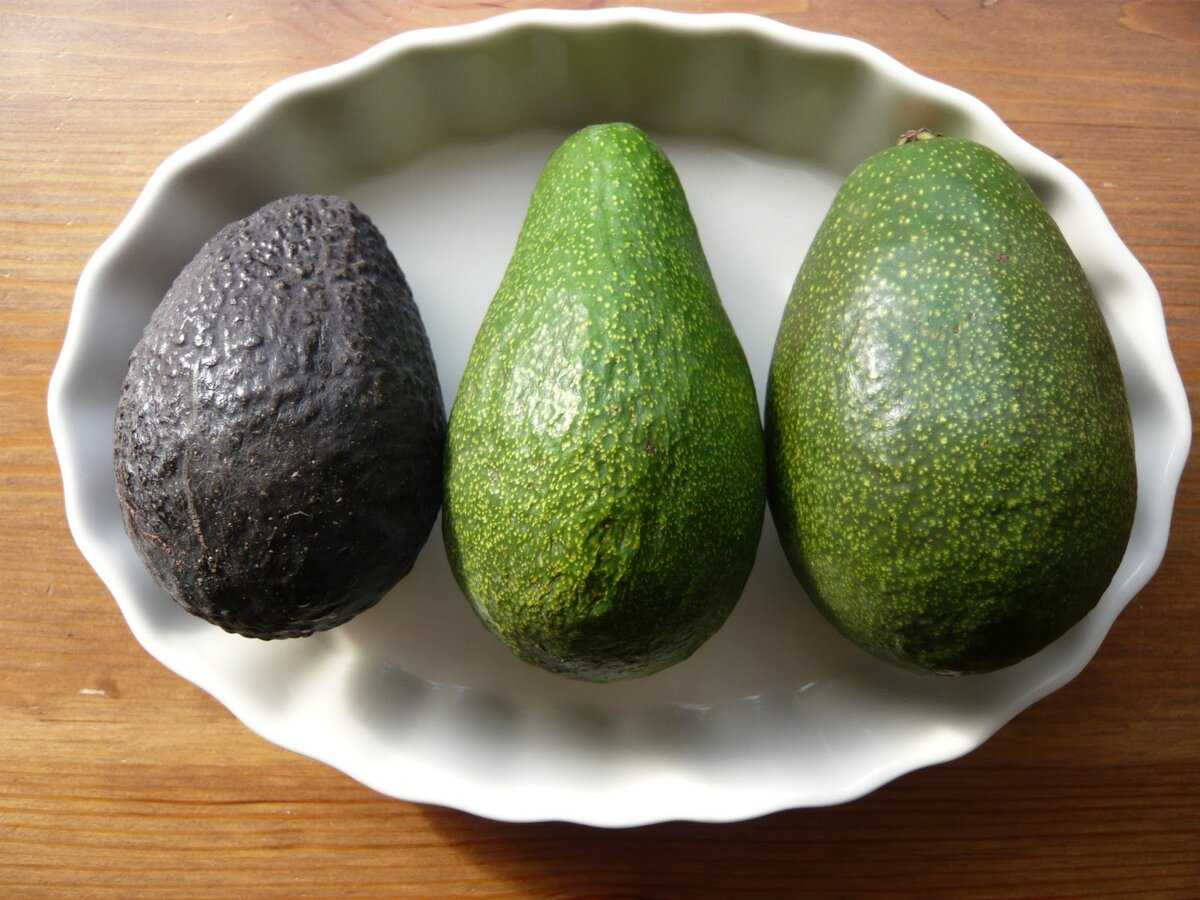 Как выбрать авокадо 🥑 (3 популярных сорта) 🥑 как выбрать спелый авокадо