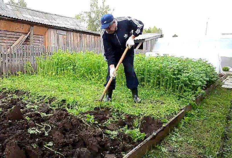 Описание посадки картофеля «под лопату»: характеристики, свойства, методы