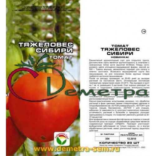 Томат тяжеловес сибири: описание крупноплодного вкусного сорта помидоров, отзывы, фото, урожайность, посадка на рассаду и дальнейший уход