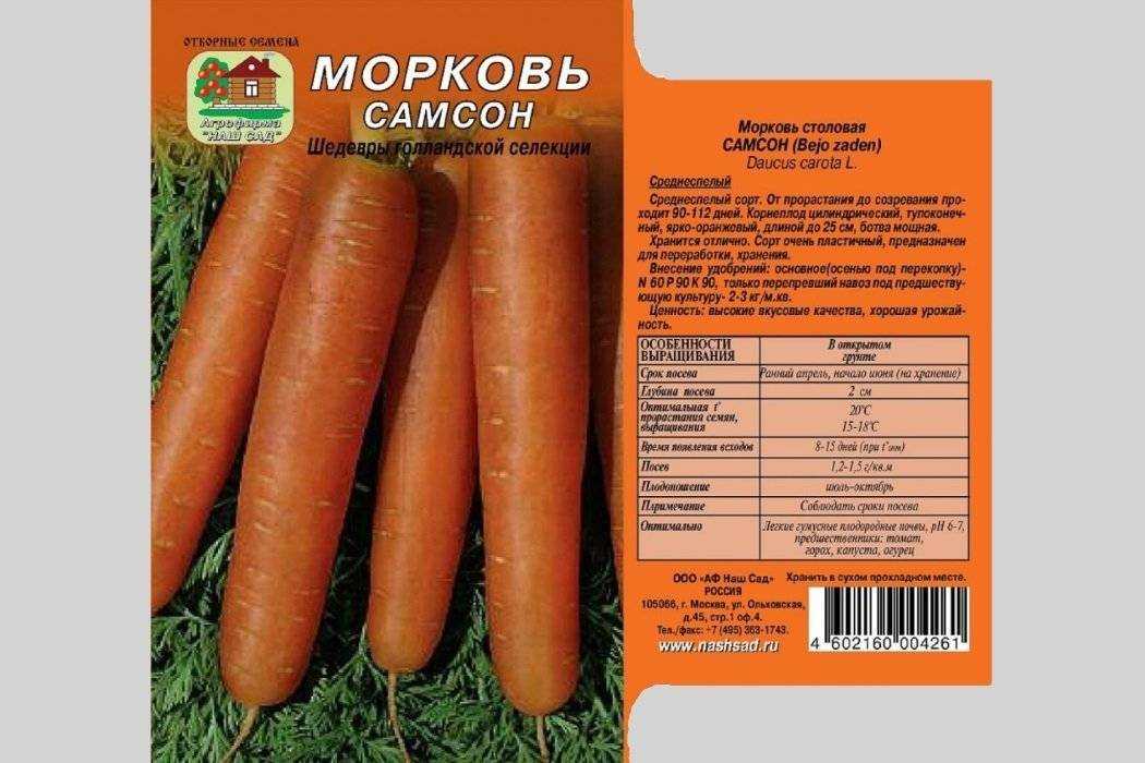 Морковь сорта ромоса: характеристика и описание сорта, особенности ухода и выращивания, фото