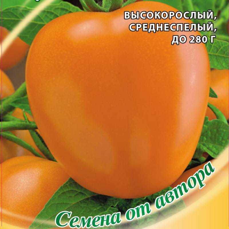 Томат лисичка