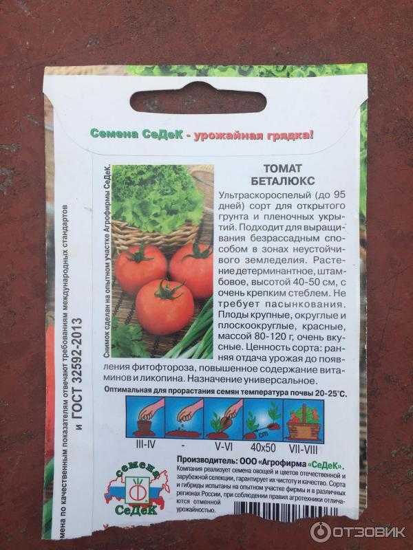 Томат бетта: характеристика и описание сорта, отзывы, фото, урожайность