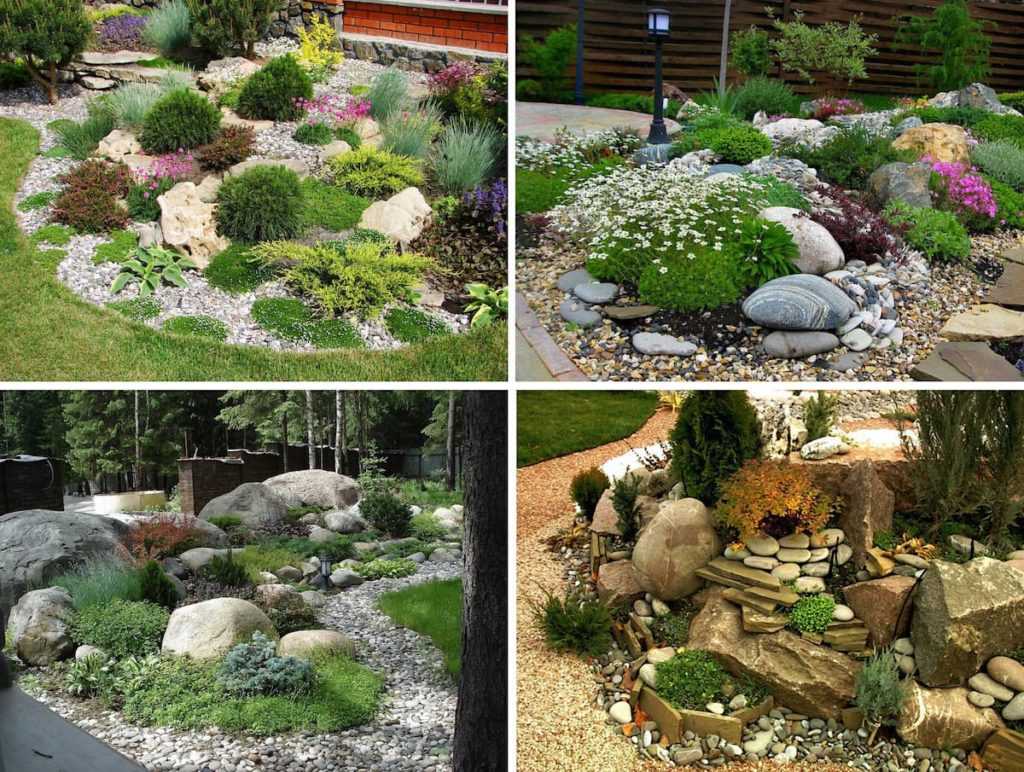Рокарий — пошаговое описание выбора дизайна и особенности применения в саду и на участке (145 фото)