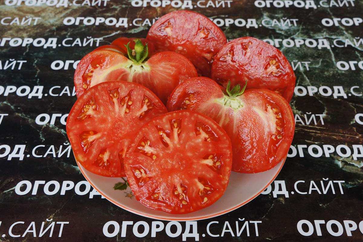 Теплолюбивый южанин для парников и теплиц — томат куум: характеристика и описание сорта