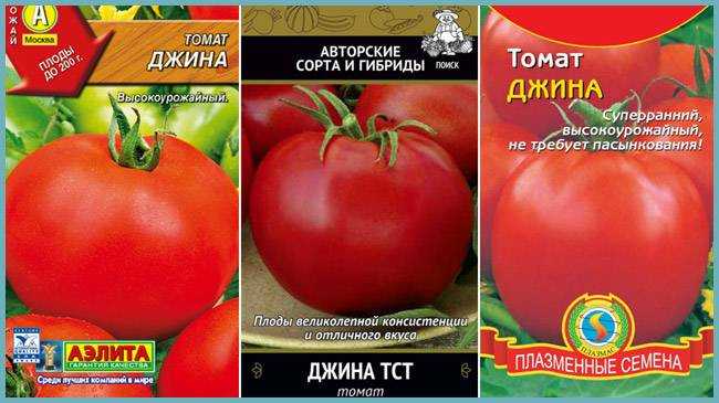 Урожай на славу: какие сорта томатов отличаются небывалой отдачей