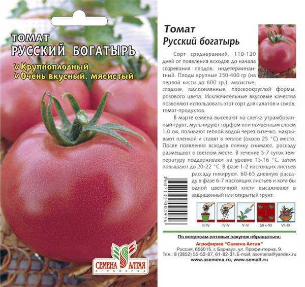 Томат дачник: описание и характеристика сорта, отзывы, фото, урожайность | tomatland.ru