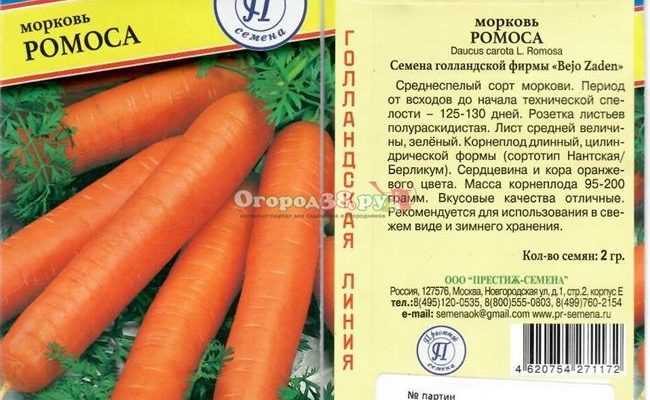 Морковь Ромоса: история создания, характеристика плодов, особенности сорта, плюсы и минусы Рекомендации по выращиванию, методы борьбы с инфекциями и вредителями