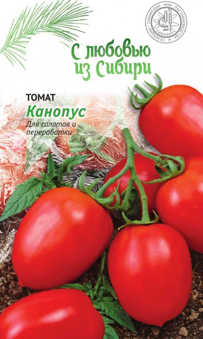 Томат канопус: описание и характеристика сорта, фото полученного урожая и отзывы огородников о нём