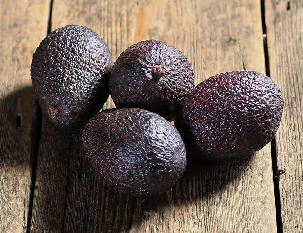 Основные характеристики авокадо Хасс В чем особенность и чем он отличается от обычного авокадо Калорийность фрукта Как выбирать авокадо, как употреблять и как хранить фрукт Полезные свойства авокадо Хасс