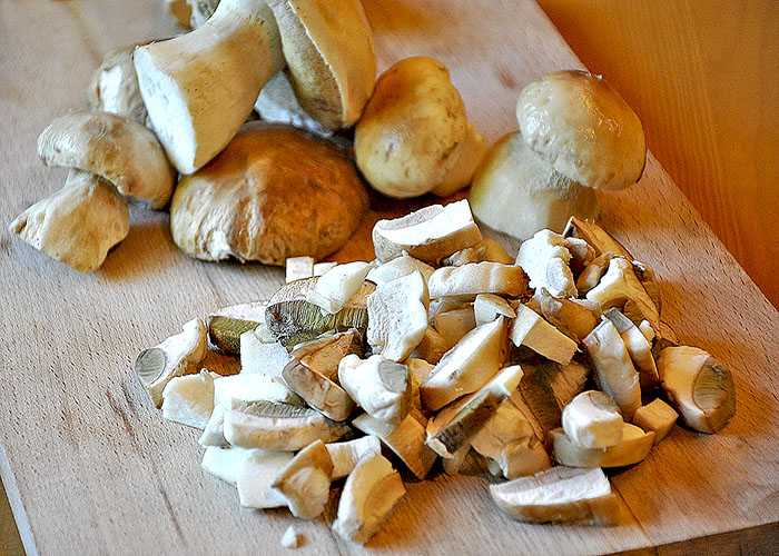 Как сохранить белые грибы на несколько дней и на всю зиму. как правильно заморозить белые грибы на зиму, лучшие рецепты приготовления