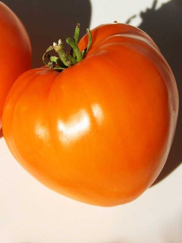 Томат оранжевая клубника немецкая: описание великолепного сорта помидор, отзывы бывалых садоводов, как выращивать и ухаживать