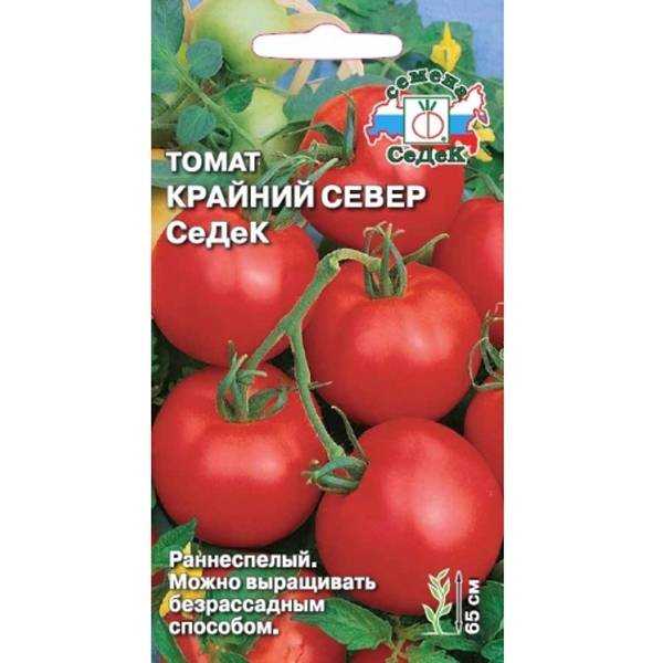 Как посадить и вырастить томат крайний север