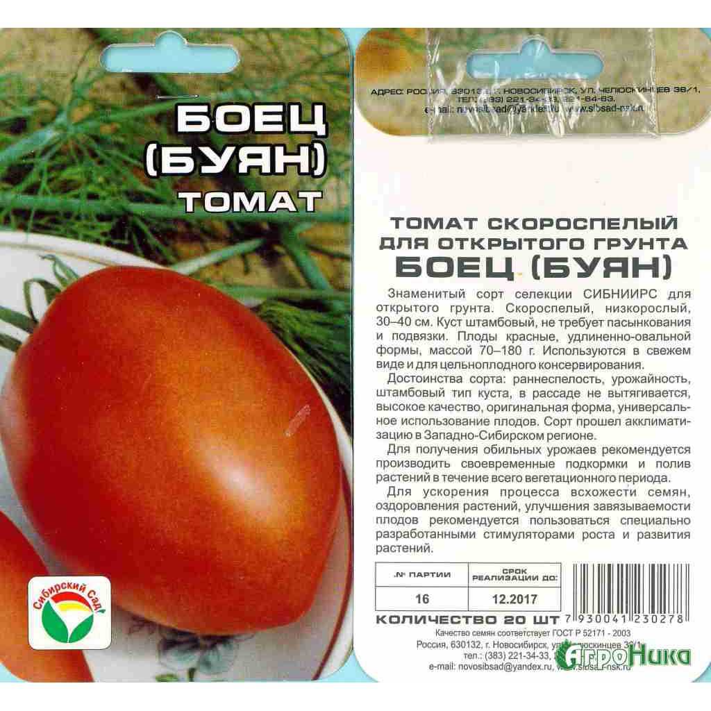 Сорт томатов боец, описание, характеристика и отзывы тех, кто сажал, фото, а также особенности выращивания