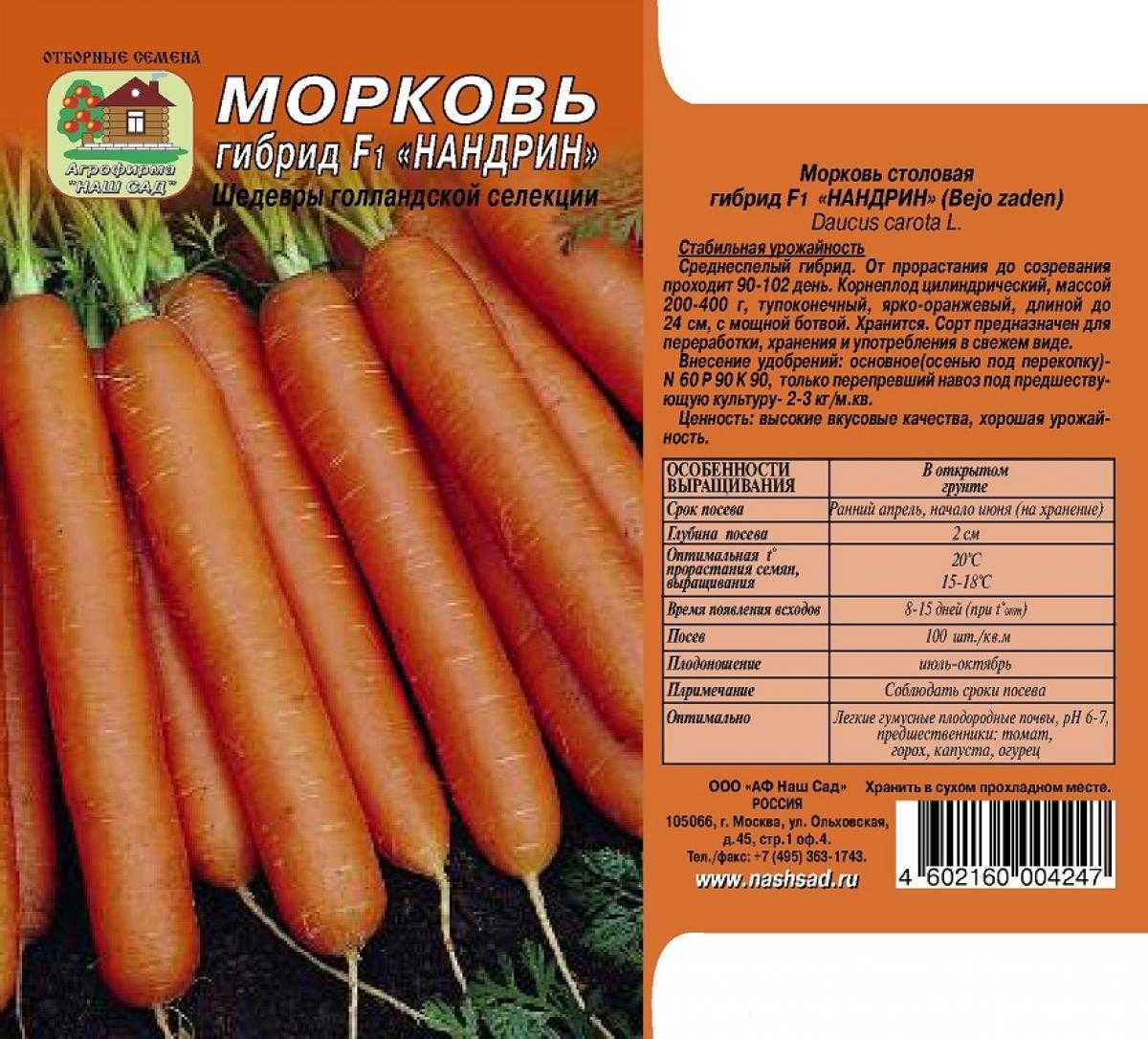Морковь сорта санькина любовь: особенности и характеристика, агротехника выращивания и ухода, фото