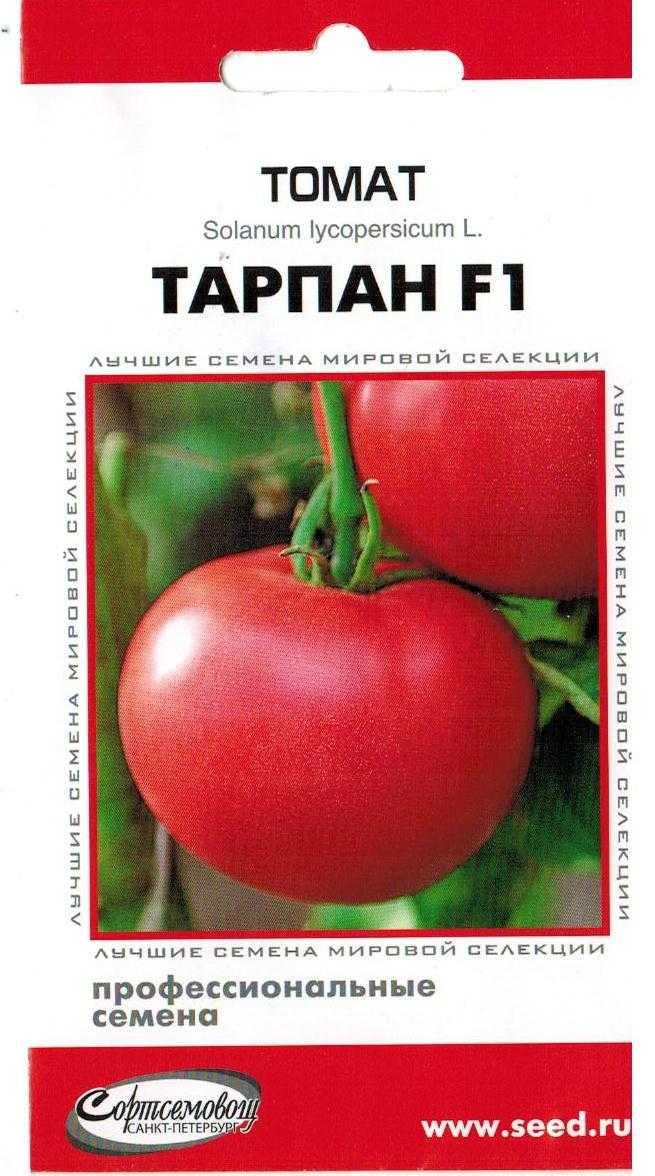 Помидор «тарпан» f1: описание сорта, фото и основные характеристики томата русский фермер