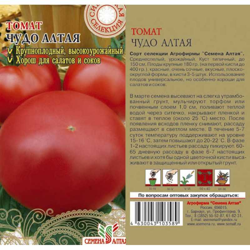 Сорт чудо света: описание томатов оригинального вида