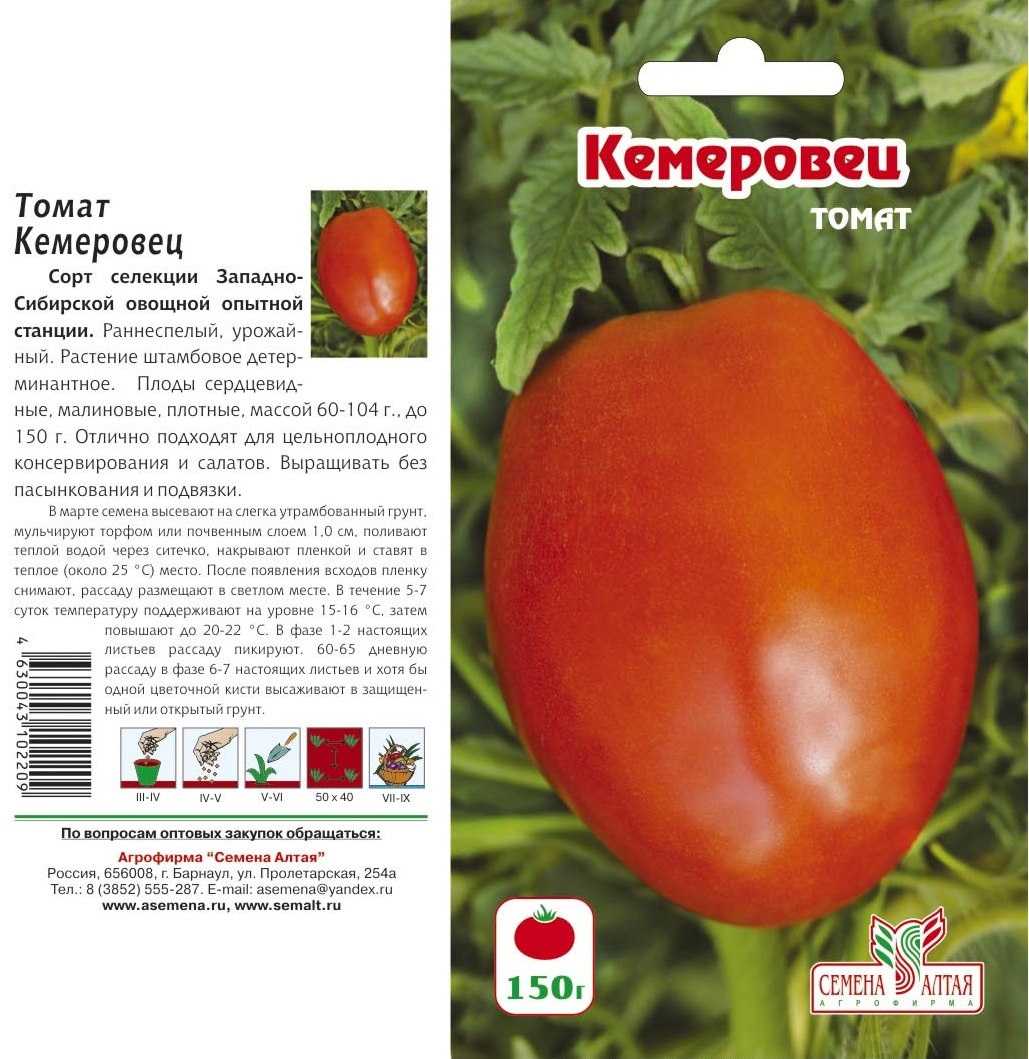 Новый суперраний томат «снегирь»: характеристика и описание сорта, фото
