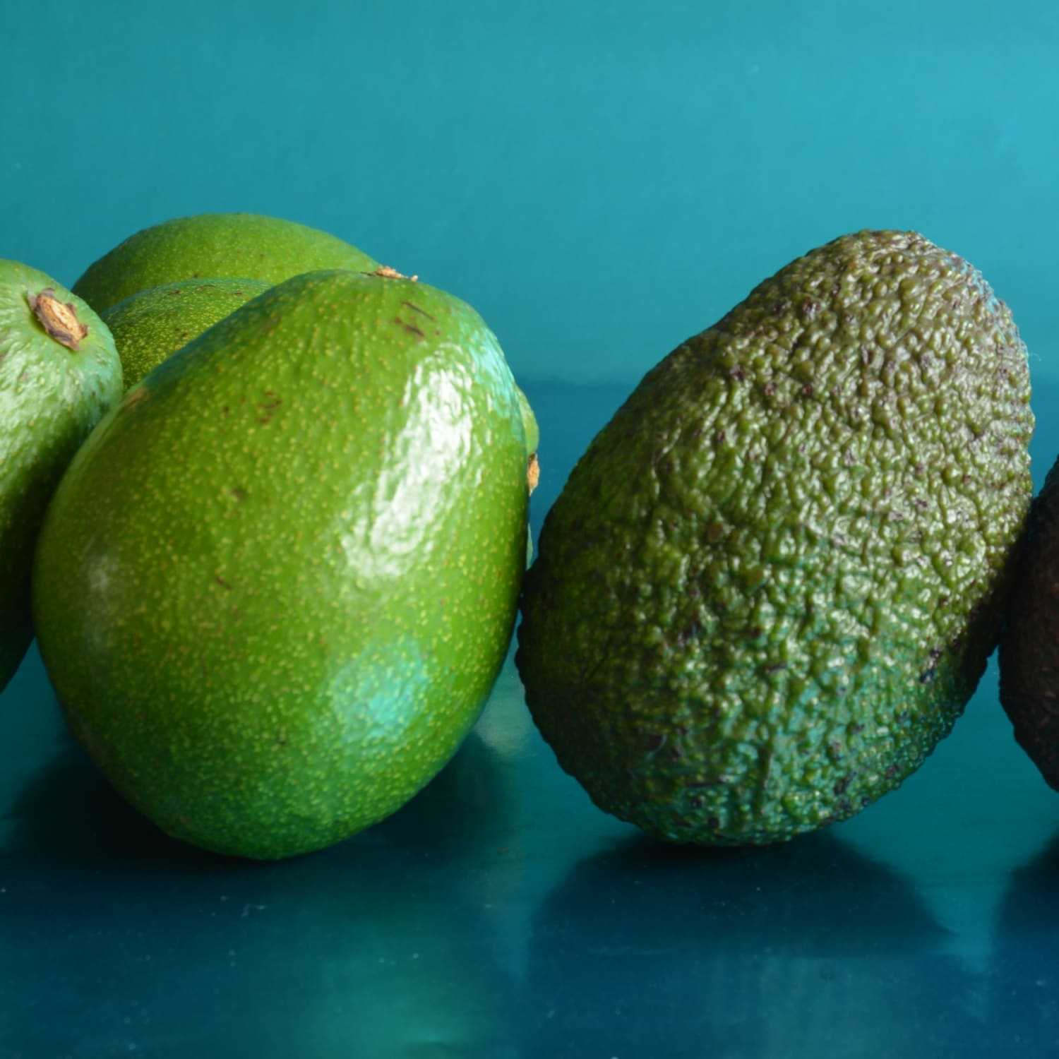 Как выбрать авокадо: 5 простых способов найти идеальный фрукт - satori