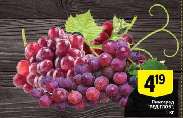 Описание винограда ред глоб - дневник садовода semena-zdes.ru