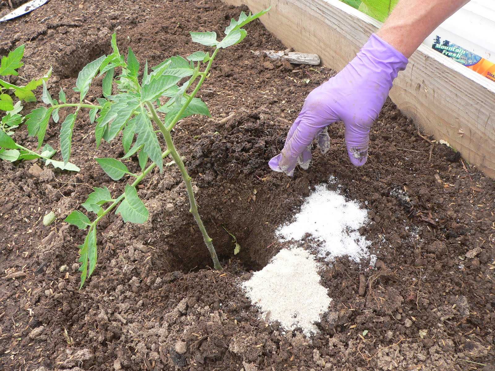 Удобрение экофус – правила применения на огороде и в саду, отзывы, состав, норма расхода, как разводить, полезные свойства