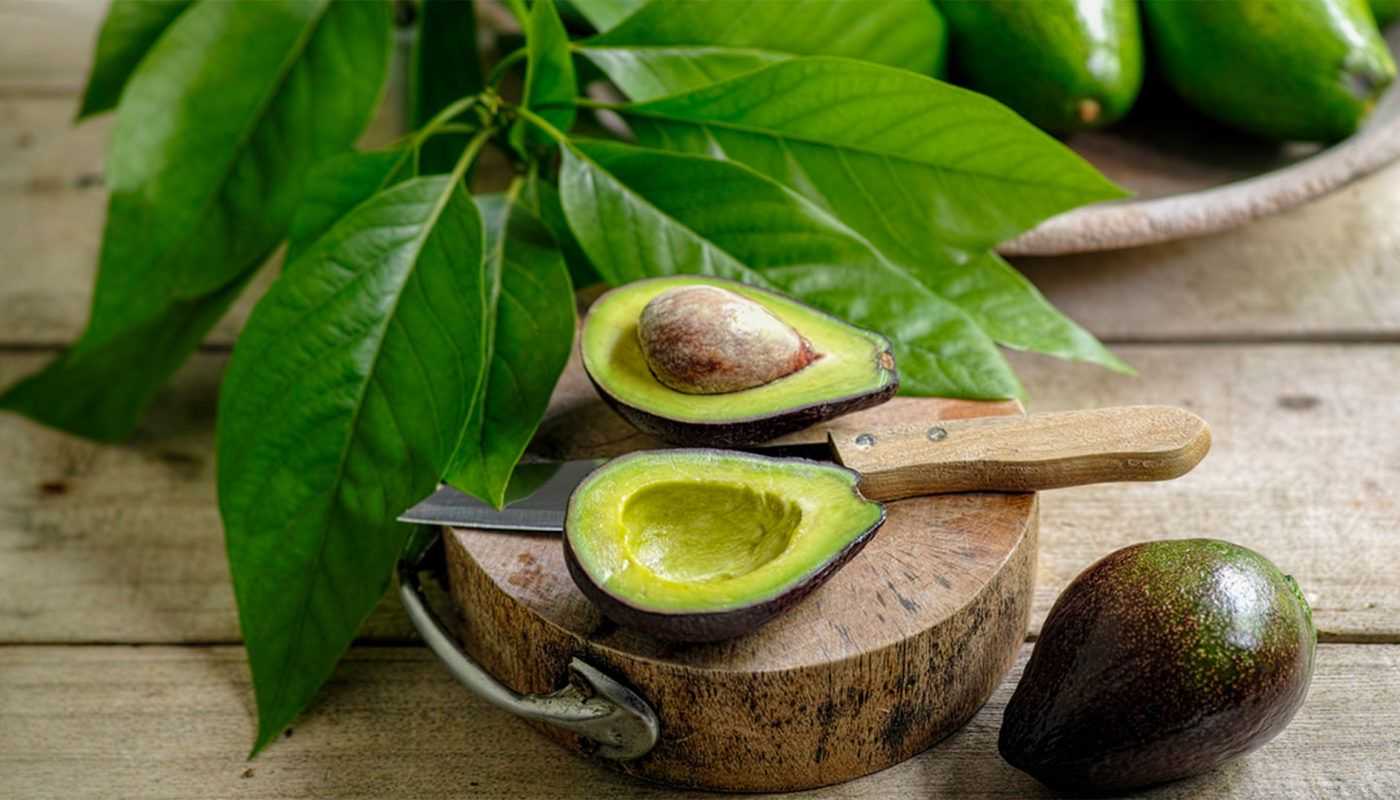 Что делать с косточкой авокадо, можно ли ее есть людям? косточка авокадо: лечебные свойства, польза и вред для организма человека. косточка, ядро авокадо: рецепты приготовления, поделки, маска для лица