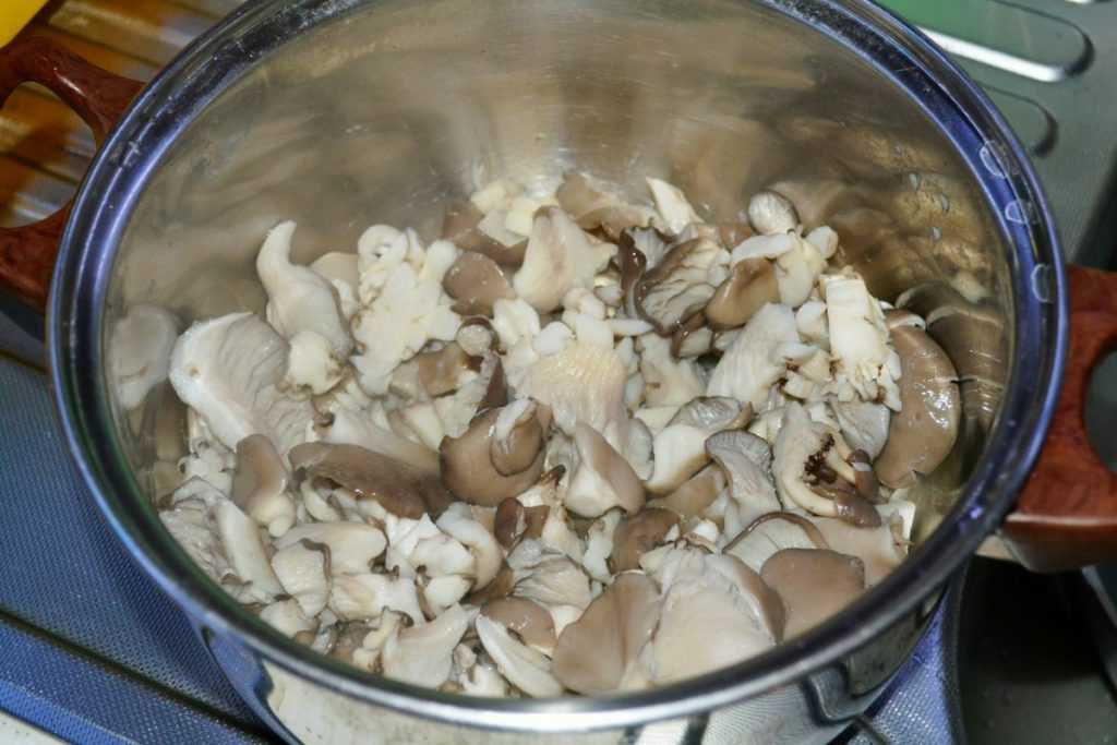 Можно ли готовить грибы. Вешенки грибы отварные. Грибы в кастрюле. Вешенки вареные. Заморозил отваренные грибы.