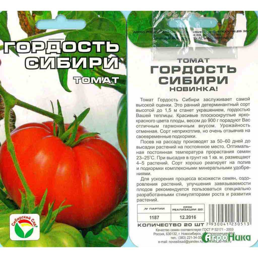 Гигант российской селекции — томат «король сибири»: описание, характеристика, фото. лишенный недостатков крупноплодный томат