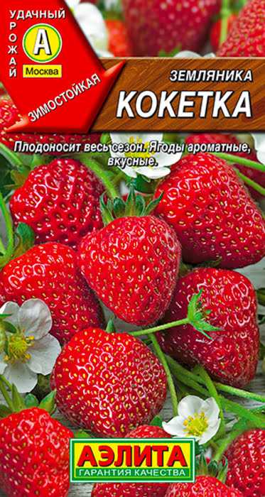 Клубника сорт зефир: сверхранняя ягода для трудолюбивых садоводов