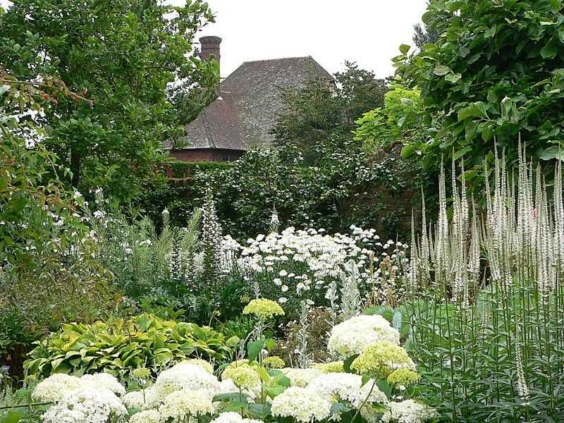 Как создать интересный дизайн тенистого сада - правильно выбираем растения? | домовой | дизайн интерьера и ремонт
