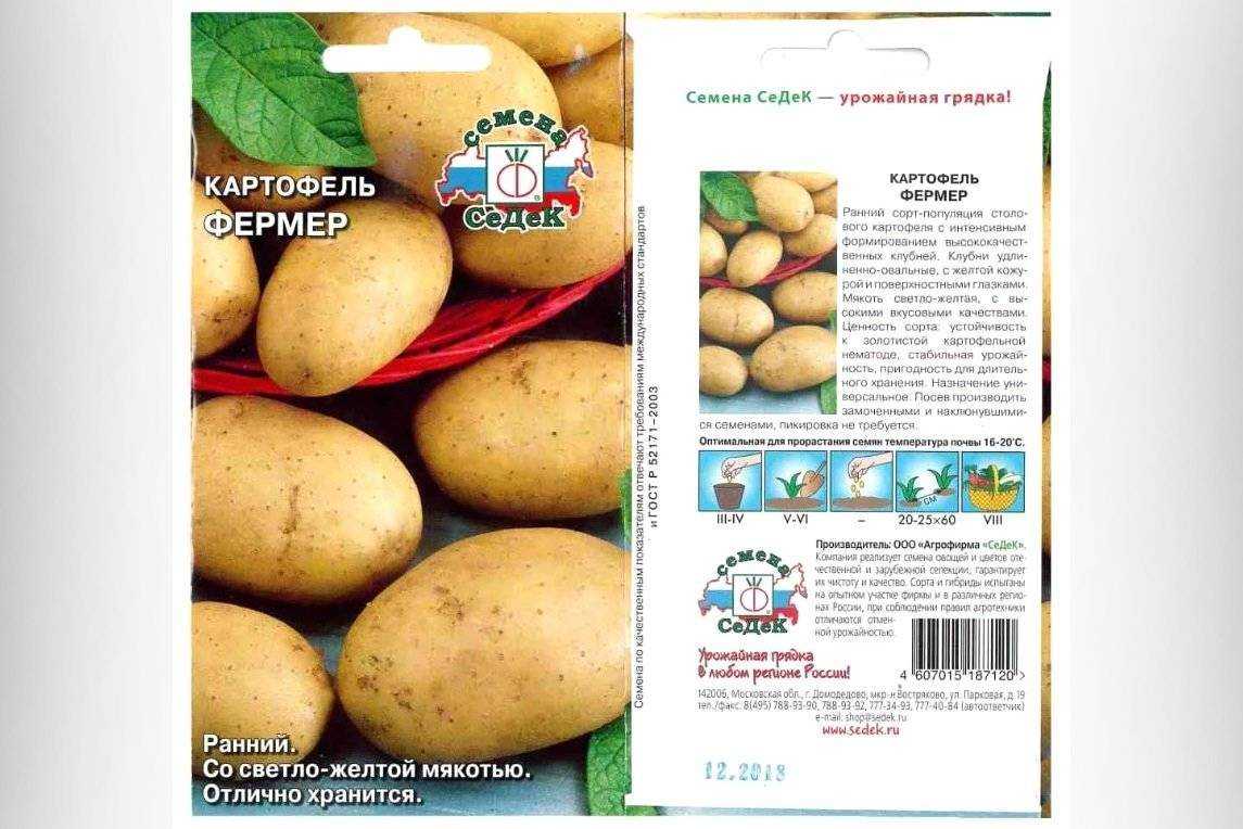 Сорт картошки винета: описание сорта, полезные свойства, отзывы