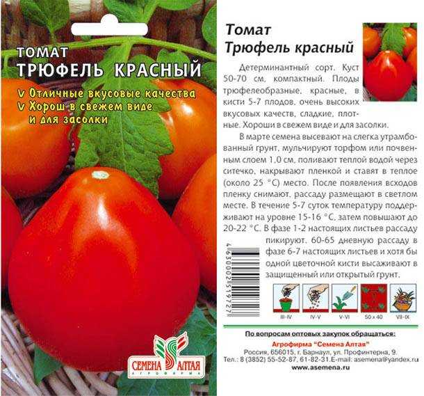 Помидоры с великолепным вкусом — томат подарок моей жене: описание сорта и характеристики