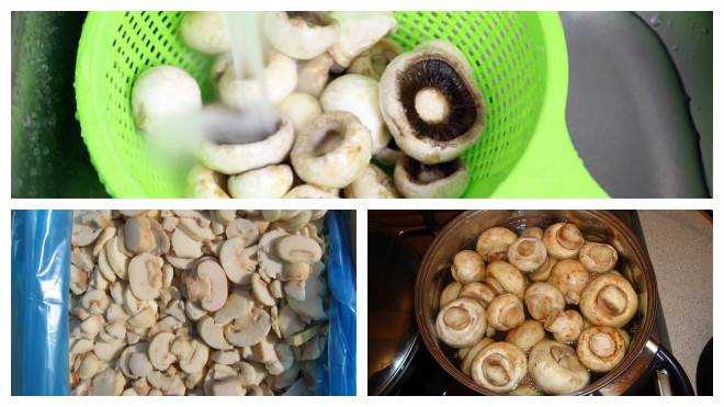 Как хранить грибы — нормы, правила, оптимальные условия как правильно выращивать, перерабатывать и хранить грибы (100 фото)