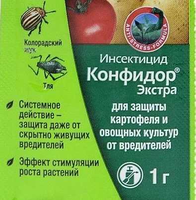 Как использовать инсектицид «конфидор»