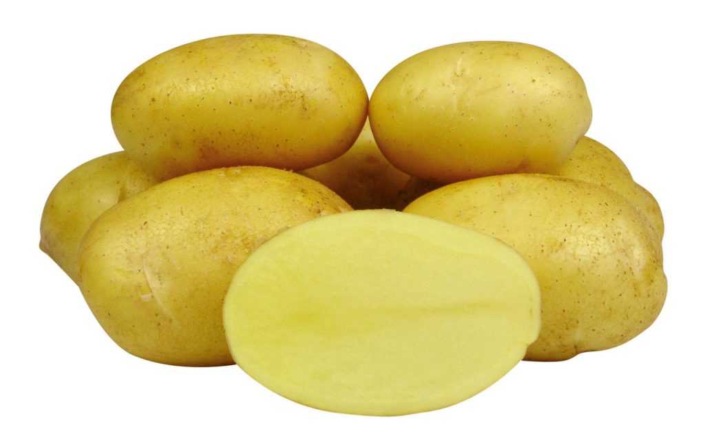 Лучшие сорта картофеля: фото, названия и описания (каталог)