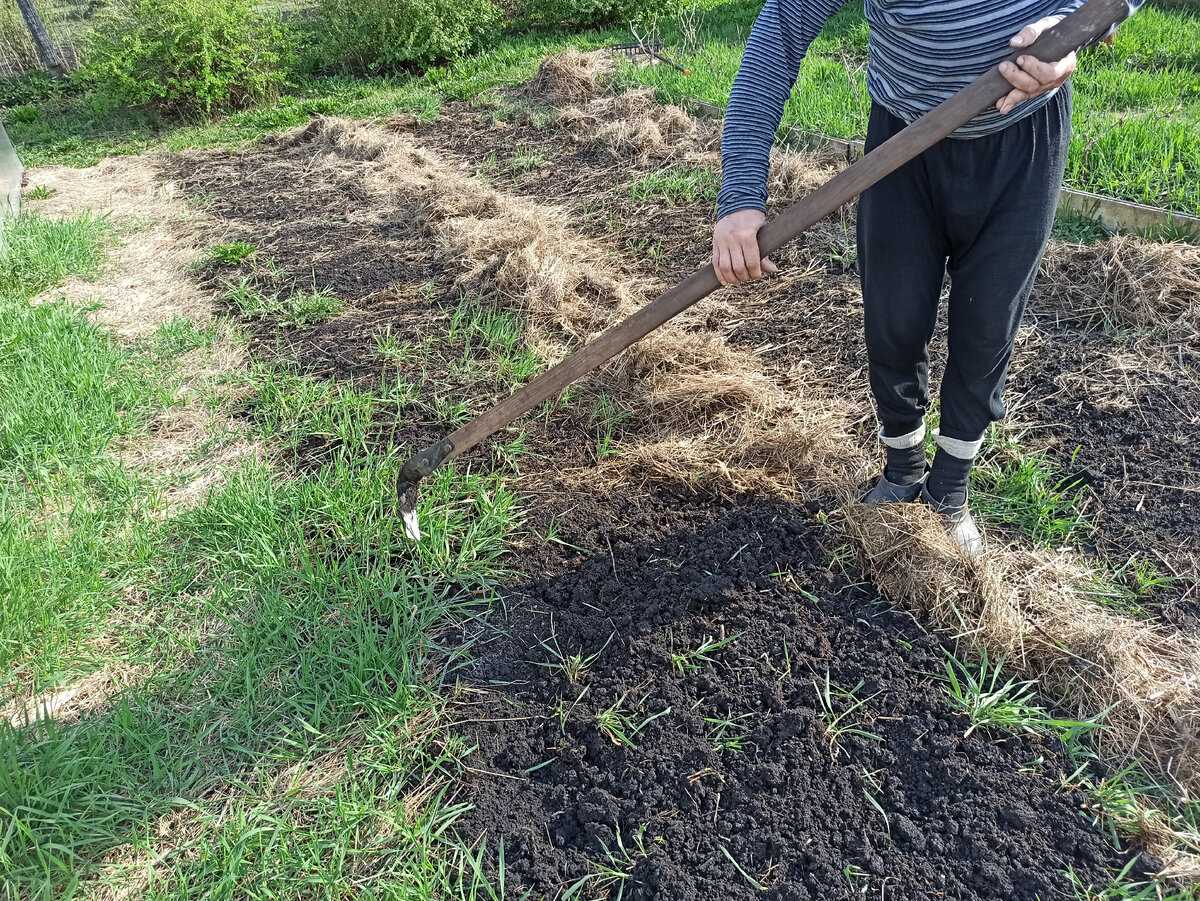Как правильно копать лопатой землю. как правильно копать в огороде: советы бывалых