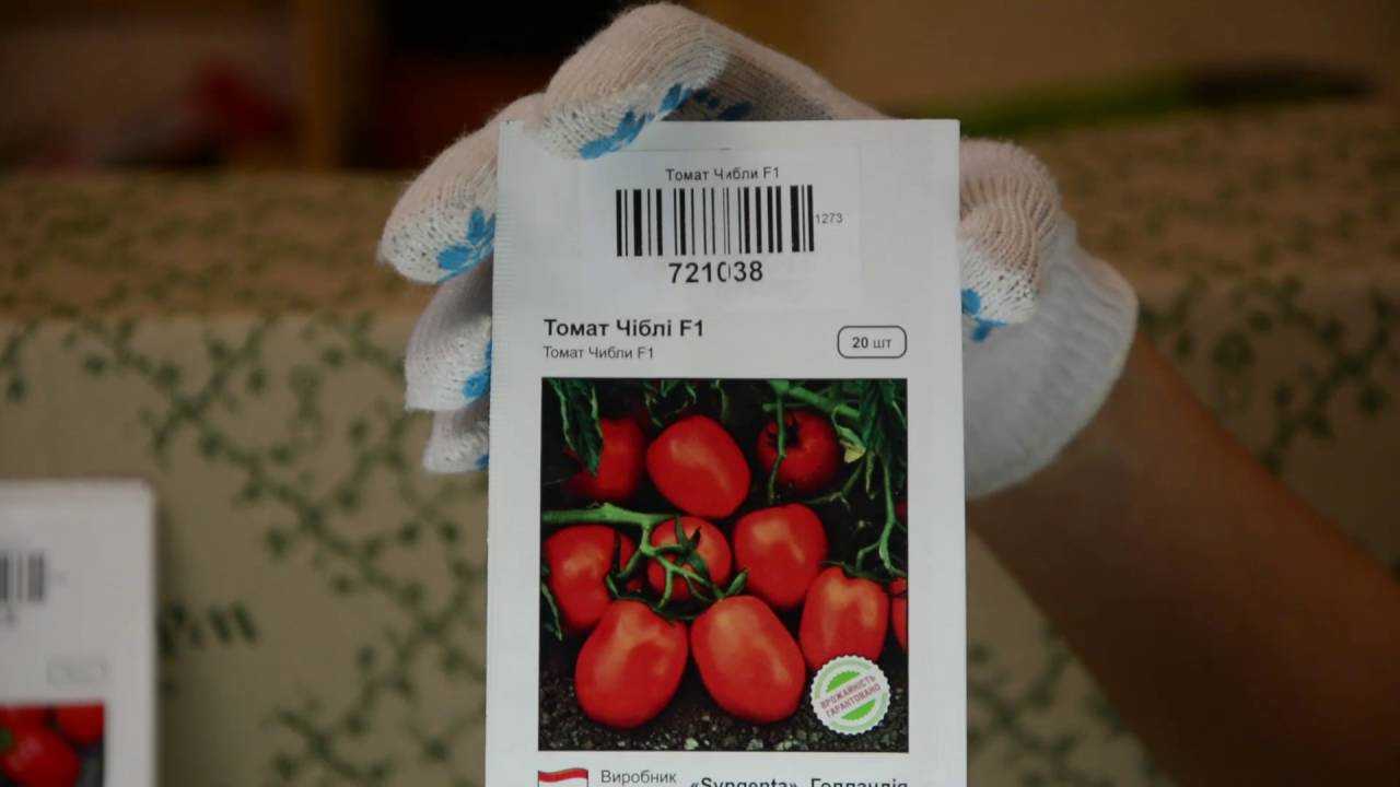 Размер семян томата