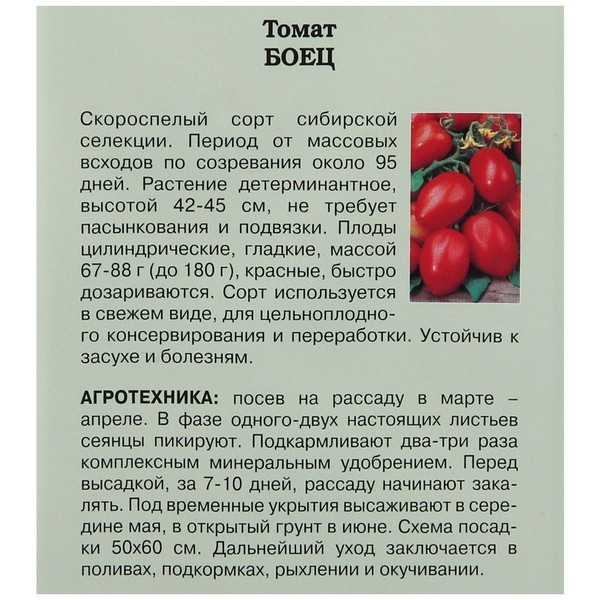 Томат боец (буян): описание и характеристика сорта, выращивание с фото